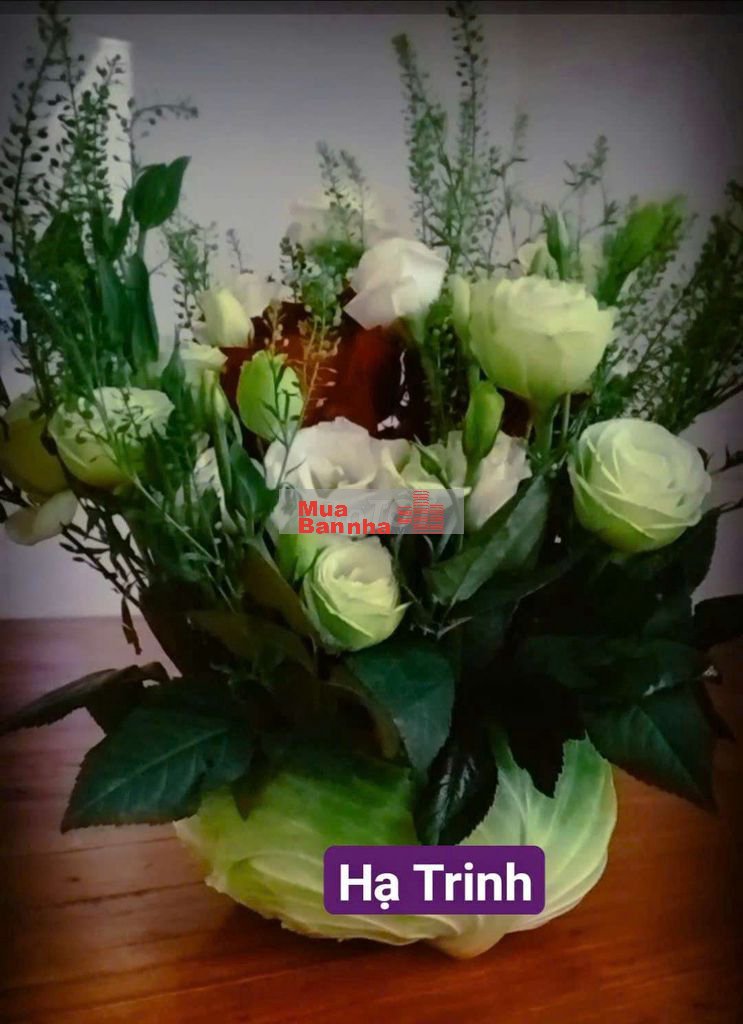 NHÀ KIỆT4M TÔN ĐỨC THẮNG 3 MÊ GẦN ÔNG PHẬT