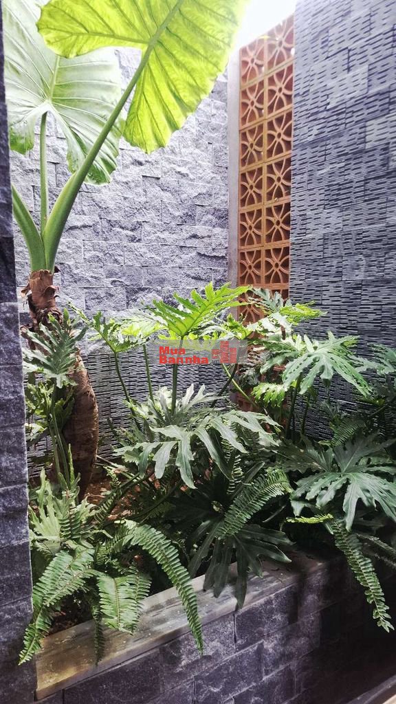 Chính chủ bán Villa nghỉ dưỡng 1000m² có 200m² thổ cư.