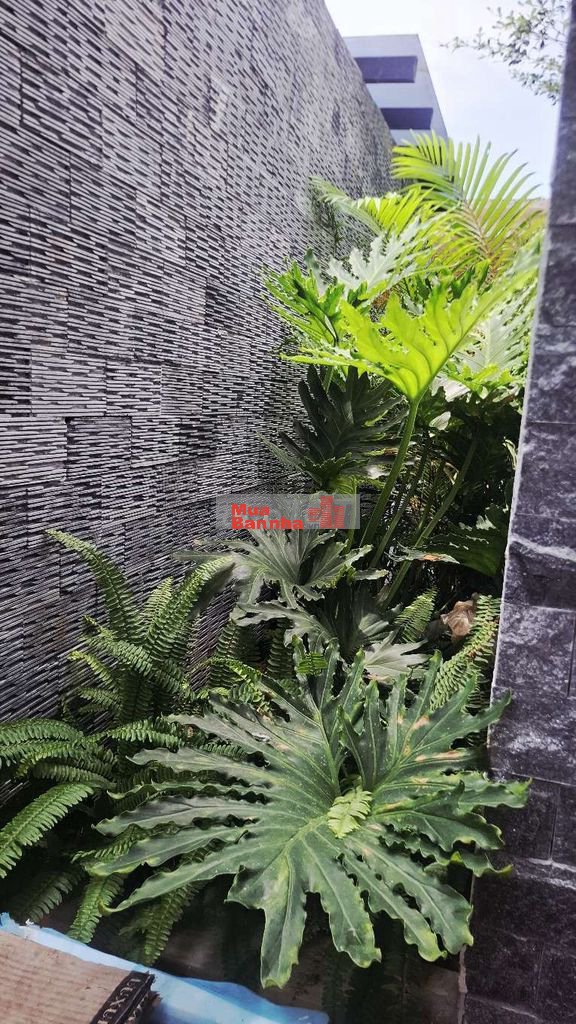 Chính chủ bán Villa nghỉ dưỡng 1000m² có 200m² thổ cư.