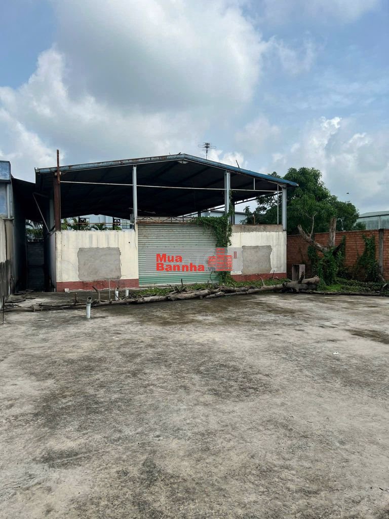600m2 MT Nguyễn Cửu Phú (13x51) cách TVG 1km