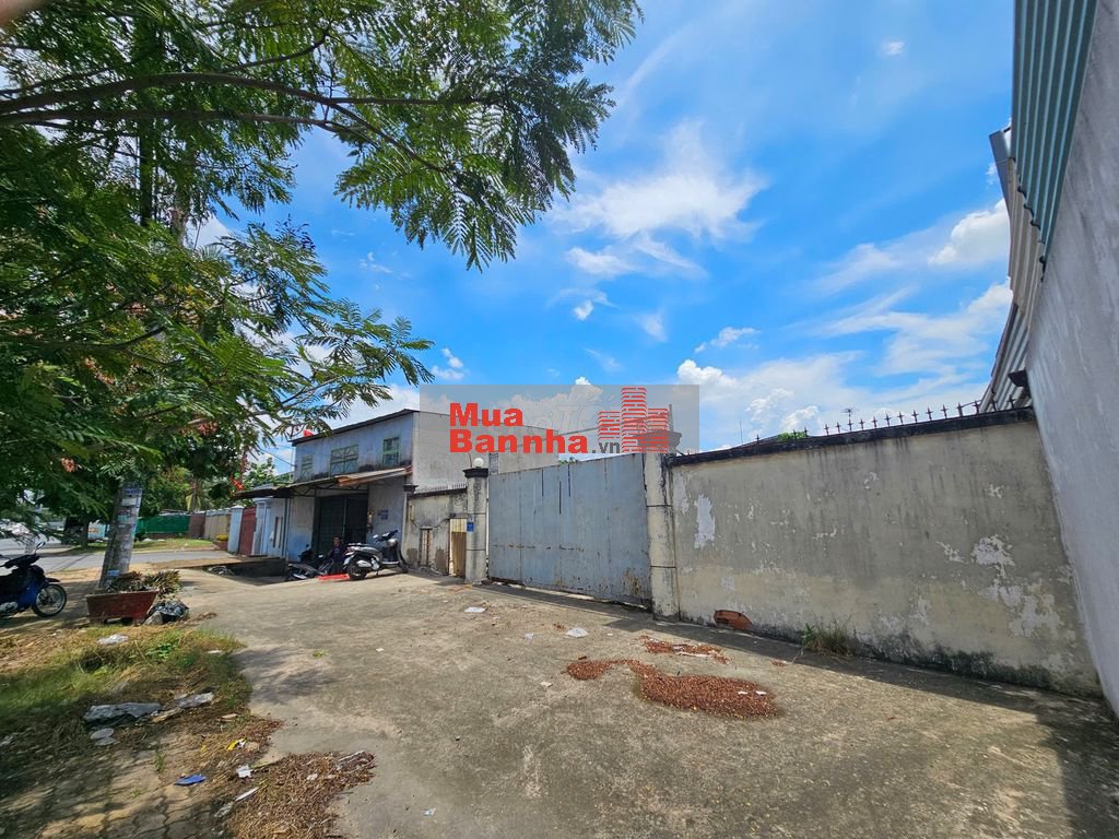 600m2 MT Nguyễn Cửu Phú (13x51) cách TVG 1km