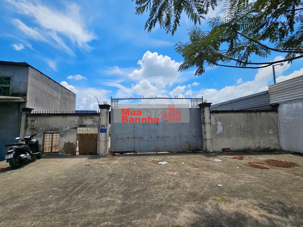 600m2 MT Nguyễn Cửu Phú (13x51) cách TVG 1km