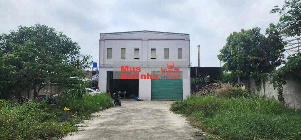 HẠ 700tr. BÁN KHO XƯỞNG SHR 871m2 2/ NGẮN ĐƯỜNG QUÁCH ĐIÊU VĨNH LỘC A