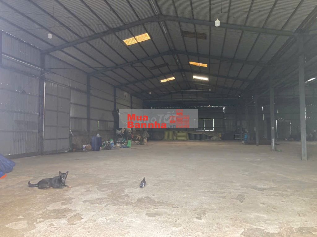 BÁN CĂN NHÀ XƯỞNG MẶT TIỀN ĐƯỜNG NHỰA TẠI BẢO LÂM