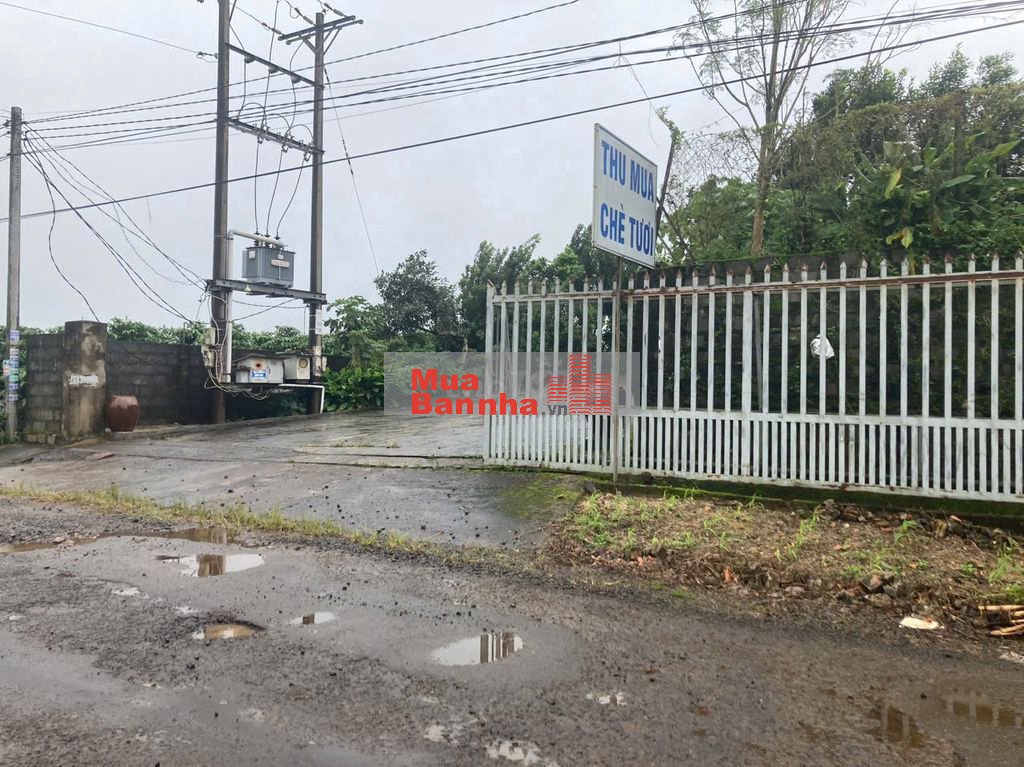 BÁN CĂN NHÀ XƯỞNG MẶT TIỀN ĐƯỜNG NHỰA TẠI BẢO LÂM