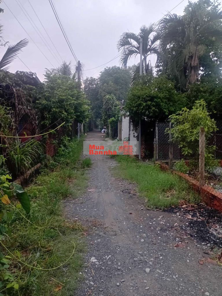 Bán nhà cấp 4,4×20