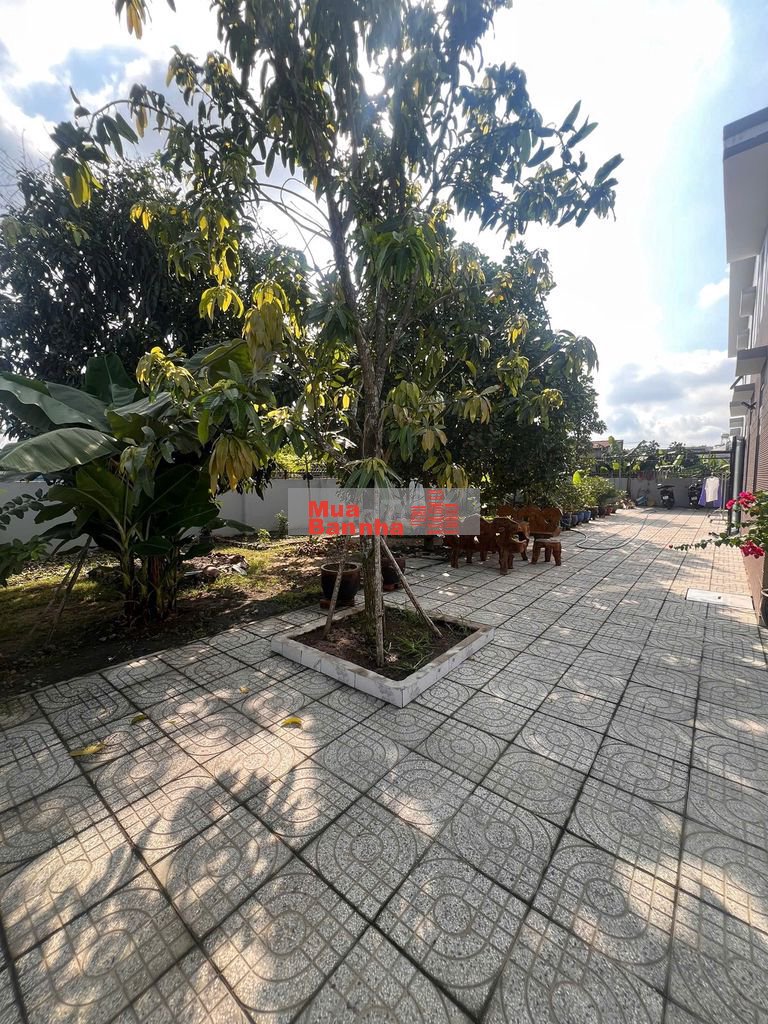 Bán nhà vườn hocmon