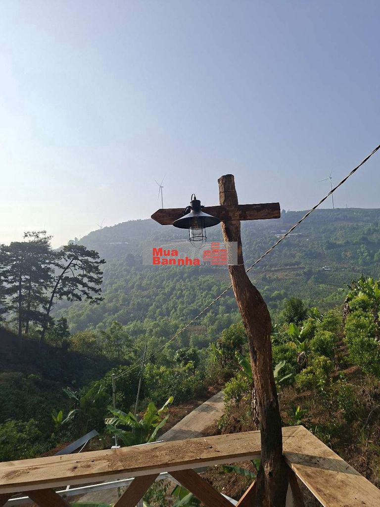 Bán Homestay view săn mây Cầu Đất