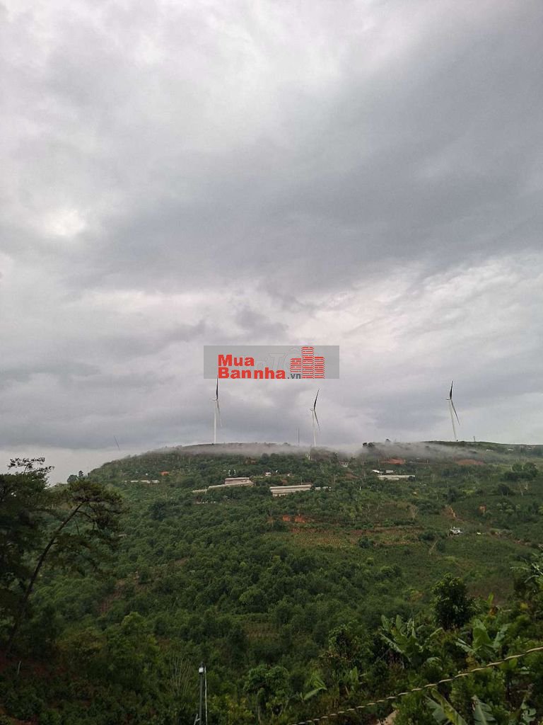 Bán Homestay view săn mây Cầu Đất