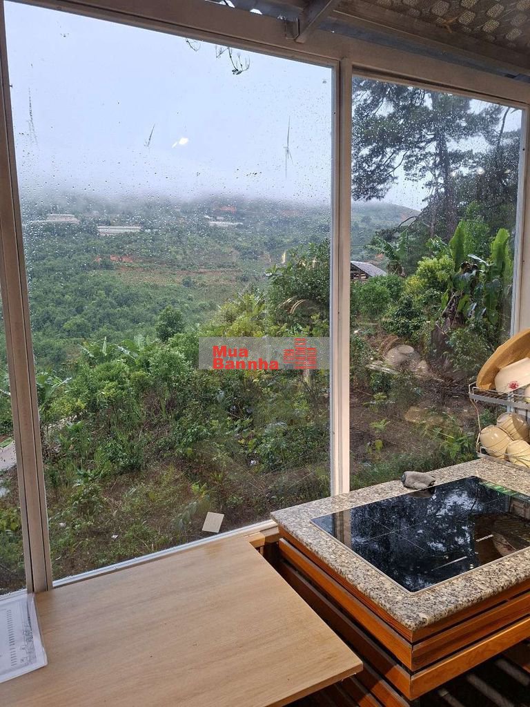 Bán Homestay view săn mây Cầu Đất