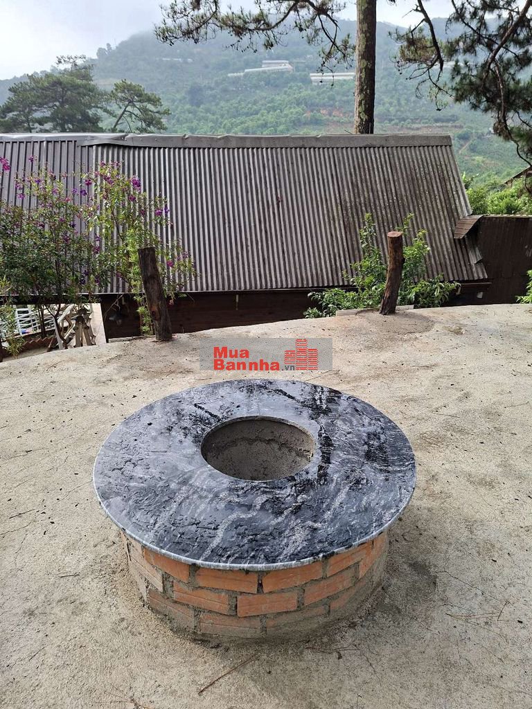 Bán Homestay view săn mây Cầu Đất
