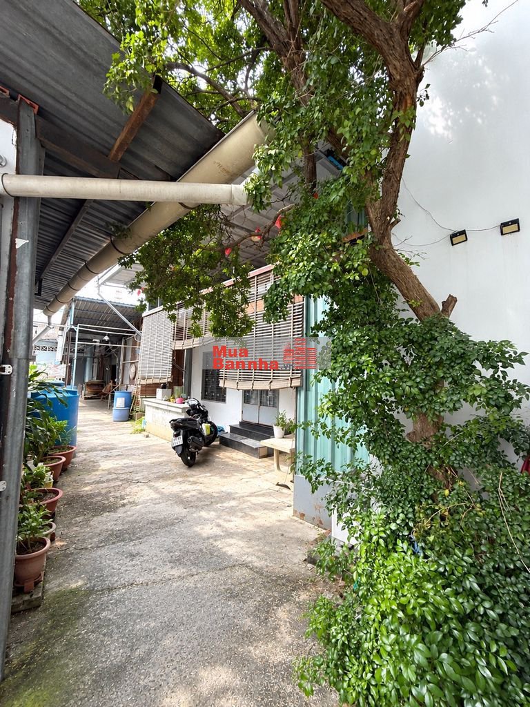 ❌ SẮP ĐỊNH CƯ GẤP BÁN NHÀ DT LỚN 72M2 - 5 PHÒNG SÁT MẶT TIỀN-CHÍNH CHỦ