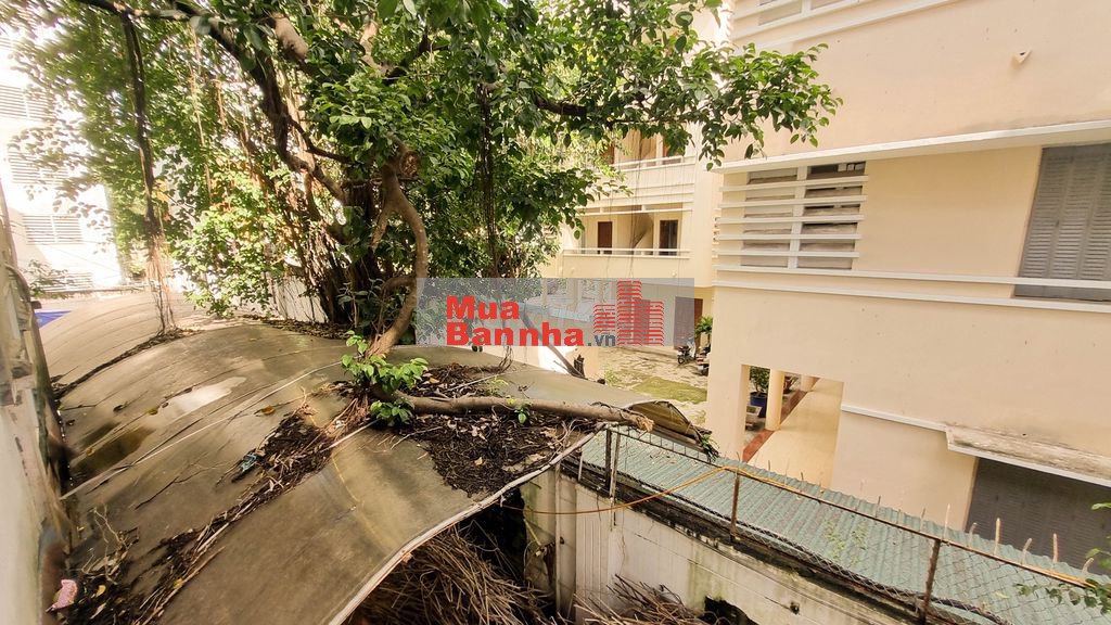 Nhà 3 tầng, Hẻm 238 Pasture, cạnh ngã tư Pasture I Võ Thị Sáu,TPHCM