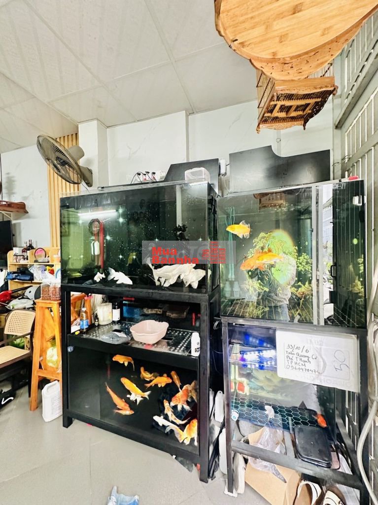 Vip TrầnQuang Cơ Tân Phú, 35m², 2Tầng 2PN, Chỉ 3.456Tỷ Sổ Đẹp Hẻm Rộng