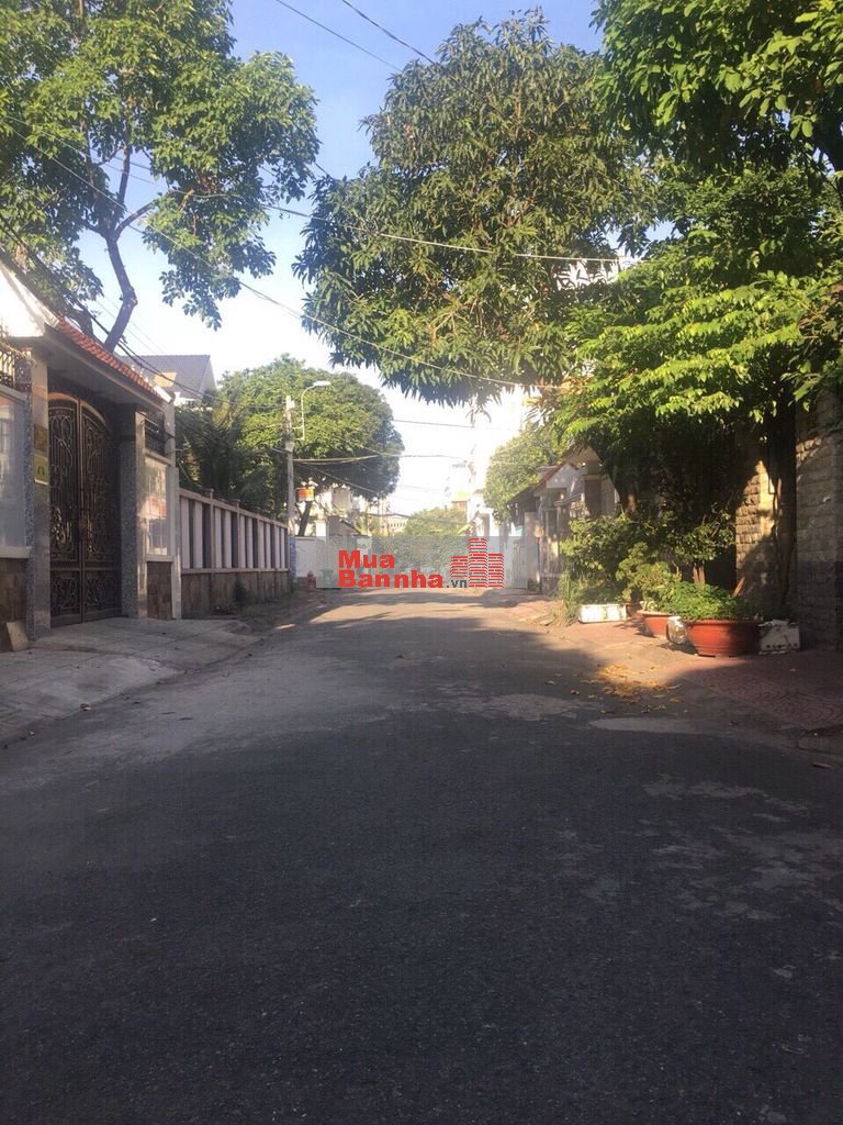 DIỆN TÍCH 184M, MT ĐẶNG TIẾN ĐÔNG, 41 TỶ