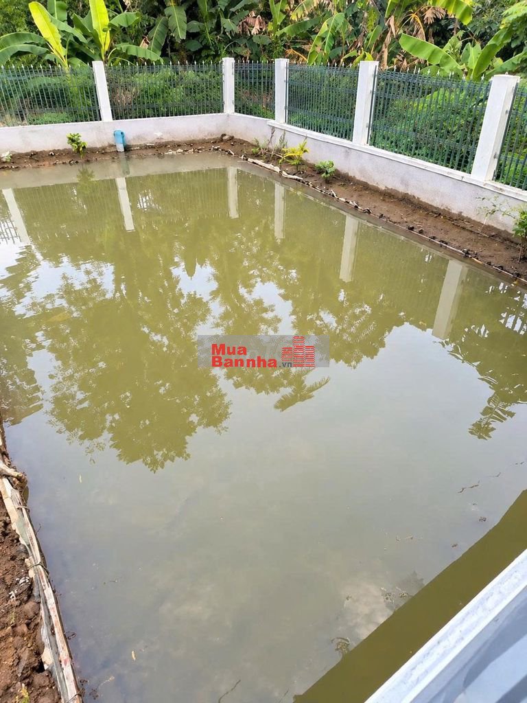 CHỦ CẦN BÁN NHANH NHÀ VƯỜN CÓ AO CÁ TẠI TRUNG TÂM VĨNH LONG