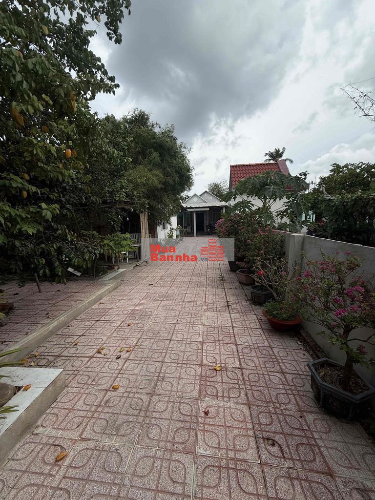 Chủ ngộp bán gấp nhà vườn gần 300m² Thuận An, giá tốt 3 tỉ 5