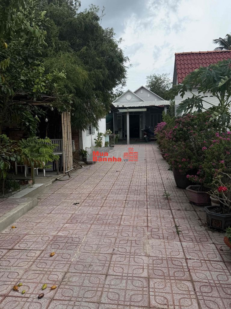 Chủ ngộp bán gấp nhà vườn gần 300m² Thuận An, giá tốt 3 tỉ 5