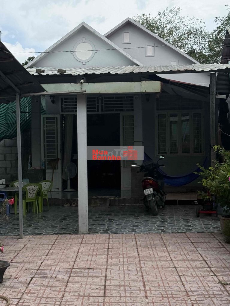Chủ ngộp bán gấp nhà vườn gần 300m² Thuận An, giá tốt 3 tỉ 5