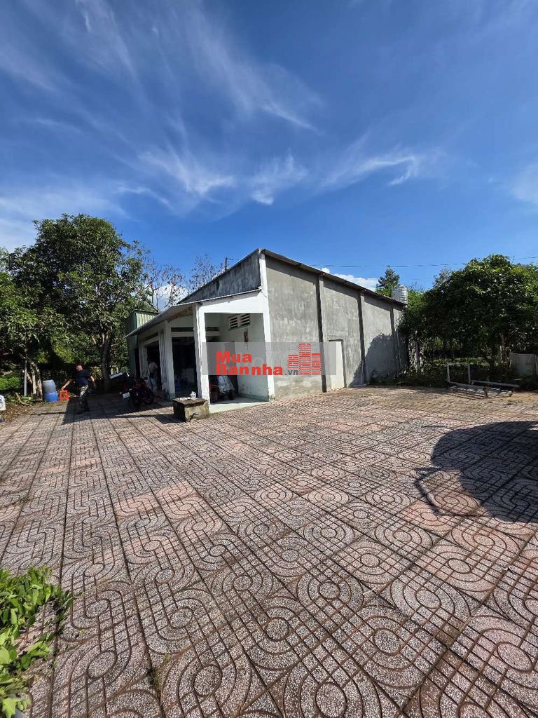TRANG TRẠI 900M2 - 30P VỀ AN SƯƠNG - NỞ HẬU TÀI LỘC - ĐÃ LÊN THỔ CƯ