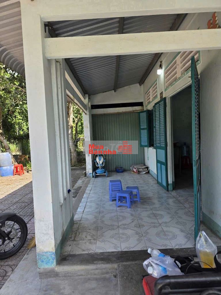 TRANG TRẠI 900M2 - 30P VỀ AN SƯƠNG - NỞ HẬU TÀI LỘC - ĐÃ LÊN THỔ CƯ