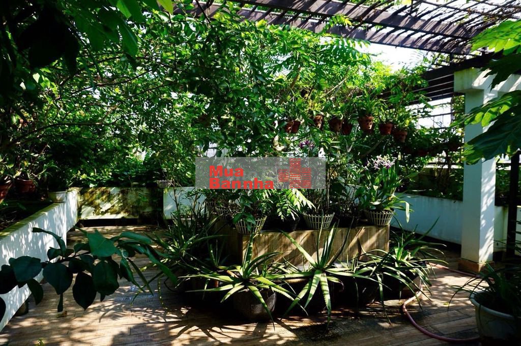 Bán Villa Nguyễn Trọng Tuyển Tân Bình 9,5x15m 4lầu 38tỷ Có thang máy