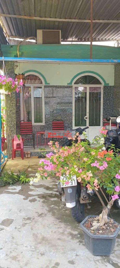 siêu Phẩm 202m