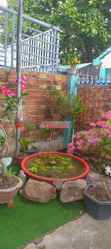 siêu Phẩm 202m