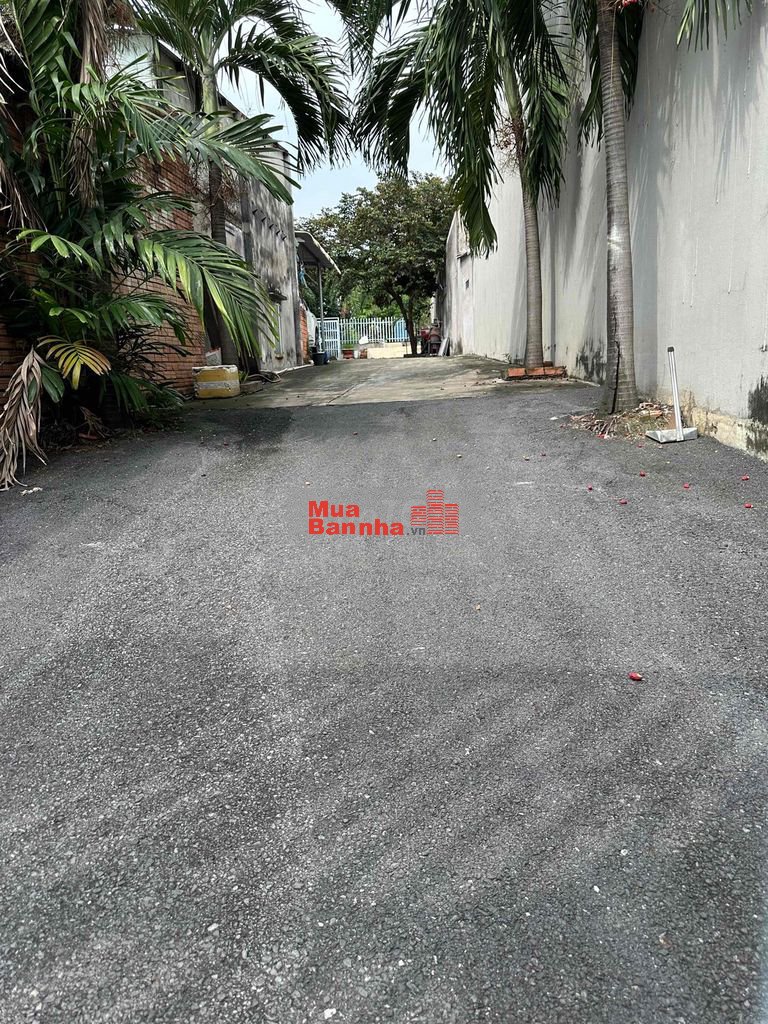 Bán gấp nhà:4,3( nở hậu 12)x37,1lầu công nhận 300m2,Long Thạnh Mỹ,Q9