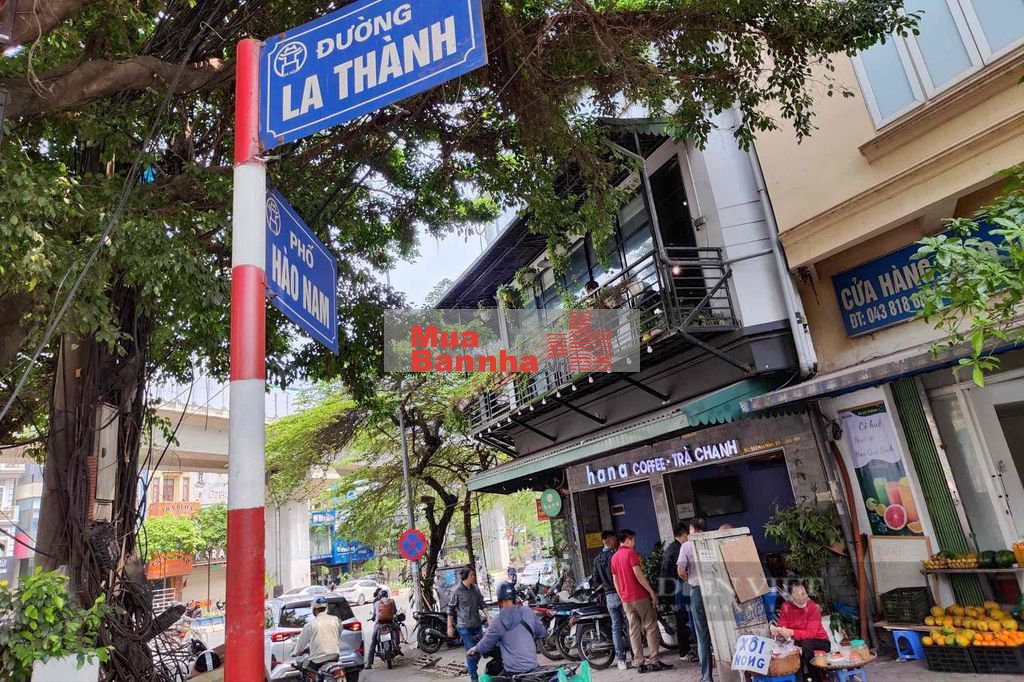 Tôi Bán Toà CCMN phố Hào Nam 6t Thang Máy-12pn khép kín dt65m giá 13,5