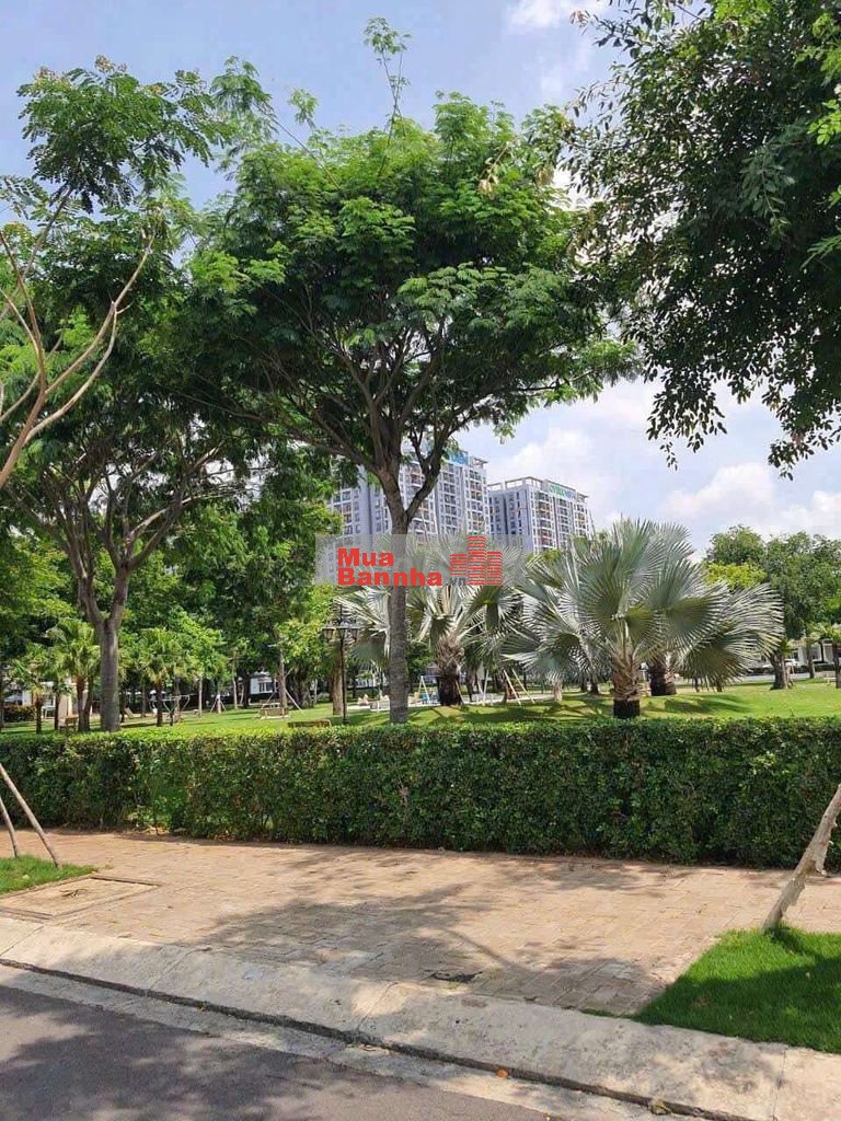 Bán căn biệt thự song lập 112m ngang 8m đối diện công viên