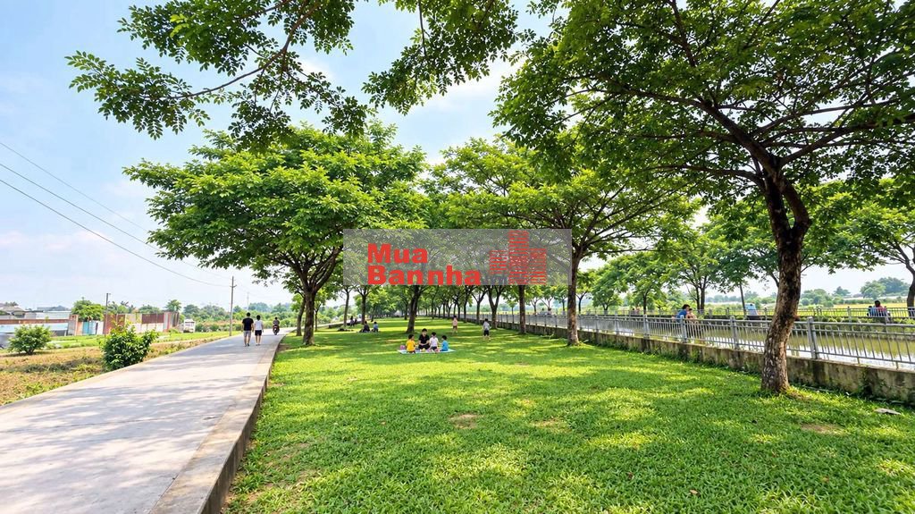 Nhà phố View Công viên 150ha, 4x17m 1lững 3 lầu đường 7m