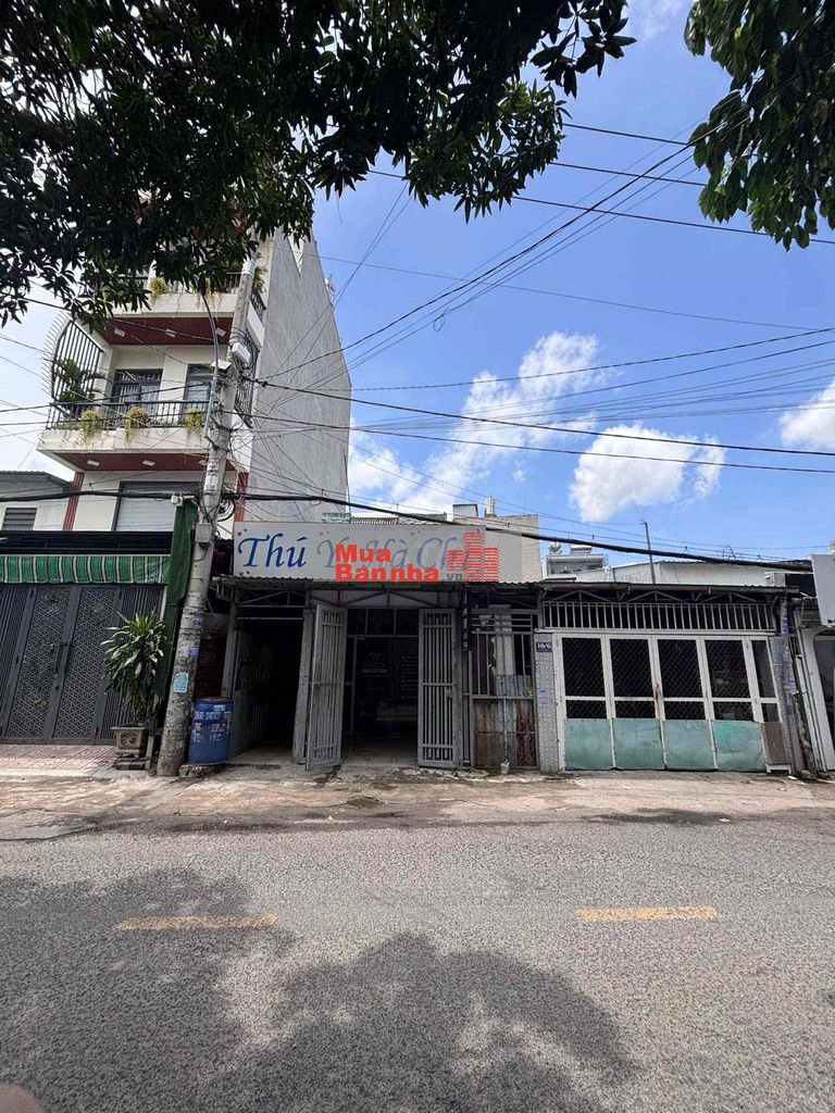 Khu vực đông dân cư