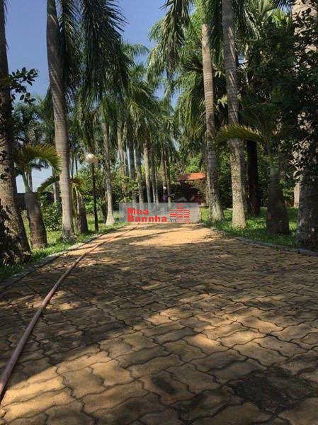 Bán Biệt thự Nghỉ dưỡng siêu đẹp 4000m vuông Củ Chi