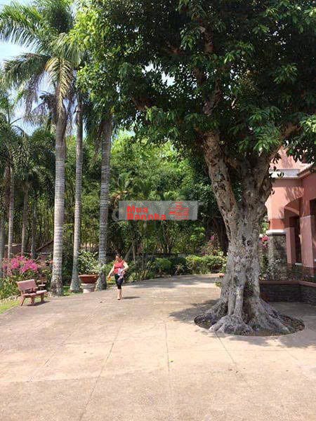 Bán Biệt thự Nghỉ dưỡng siêu đẹp 4000m vuông Củ Chi