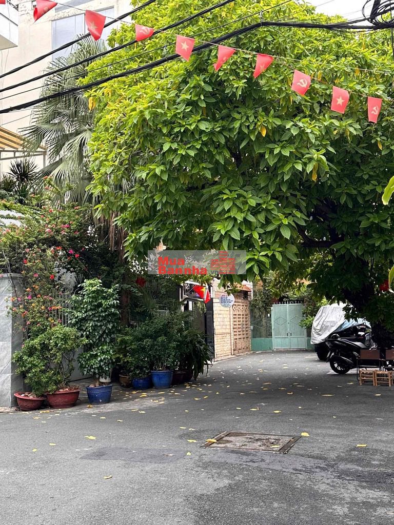 Hẻm 9.5m Đinh Tiên Hoàng 6 x 19m 4 lầu 13.5 tỷ gấp bán