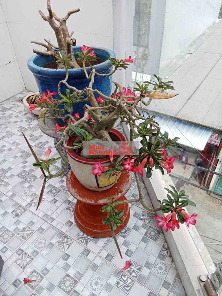 Nhà căn góc , hẻm xe tài Le Van Quoi