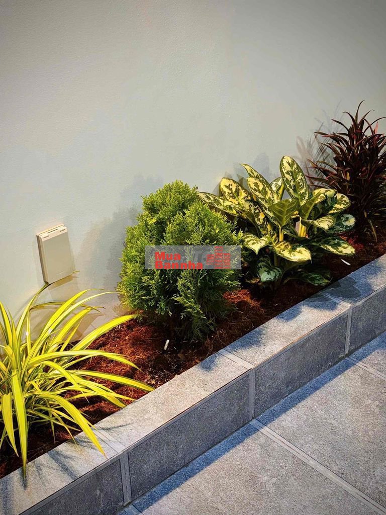 ✨ Nhà 2 Mặt Tiền - Phú Mỹ ( Nhánh Dx 05 ) —————————————————👉 Giá : 3,